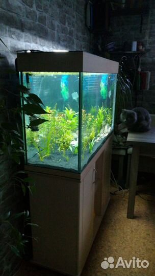 Аквариум 160л новый + Led свет. Гарантия 5 лет