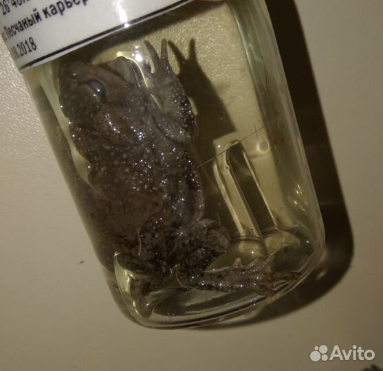 Учебное пособие 