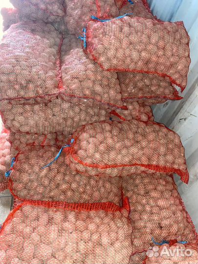 Картофель мелкий на корм животным