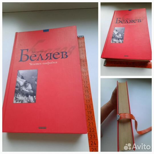 Книга А.Беляев 