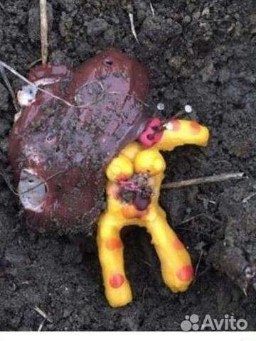 Гадание на картах