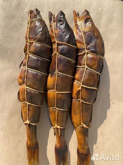 Рыба Терпуг горячего копчения