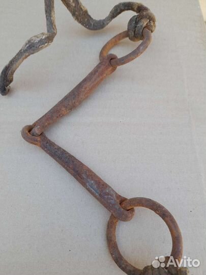 Удила для лошади