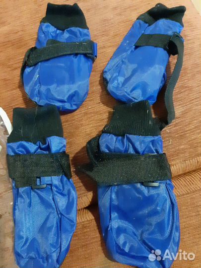 Ботинки для собаки