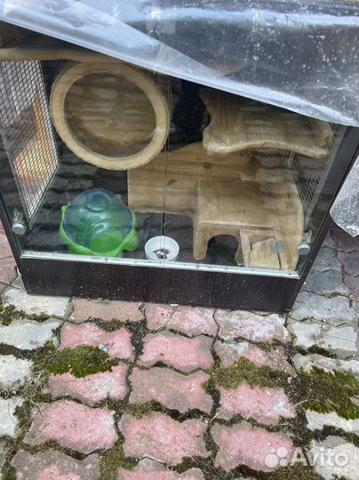 Клетка для грызунов