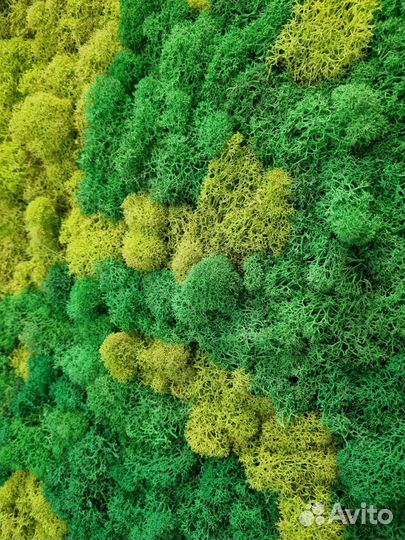 Настенное панно