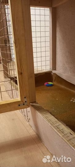 Клетка для собак