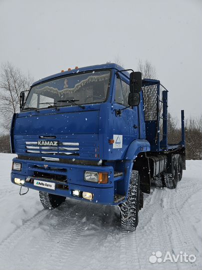 КАМАЗ 65225, 2013