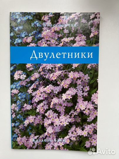 Е Г Колесникова Двулетники