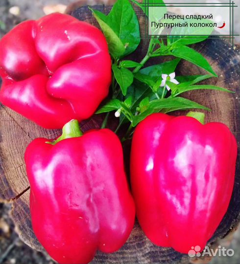 Комплект семян овощей (40 позиций)