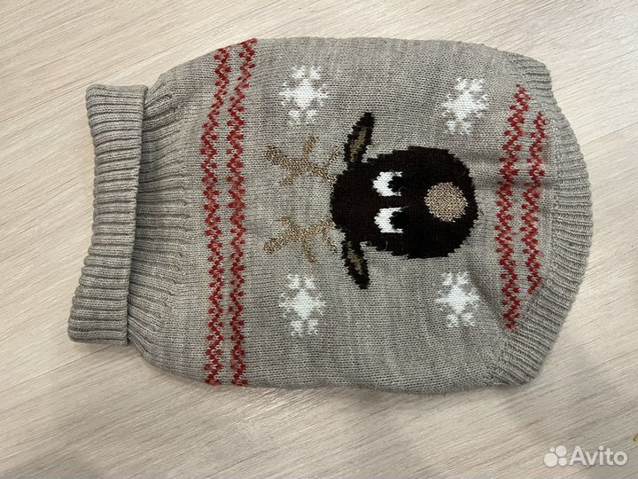 Одежда для маленьких пород собак