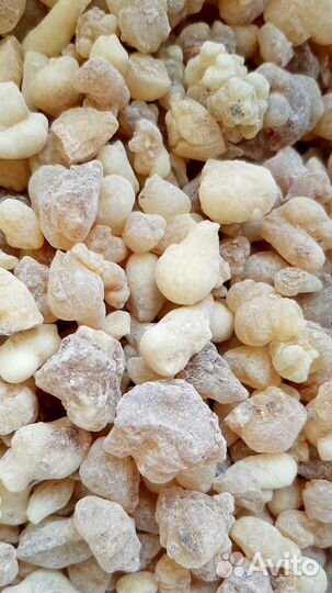 Ладан. Олибанум 3 сорт