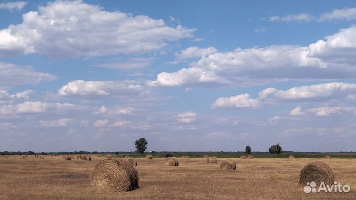 Сено рулонное