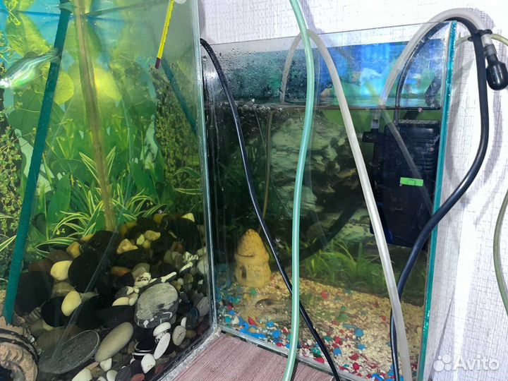 Аквариум с рыбками