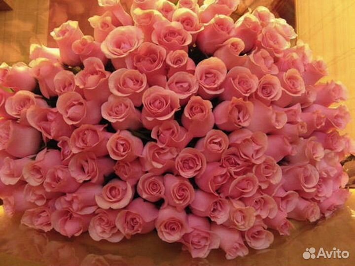 Розы цветы с доставкой