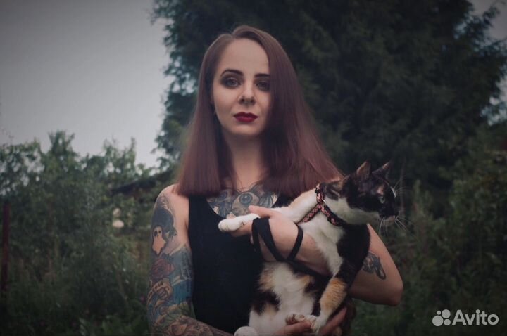 Художник, фотограф