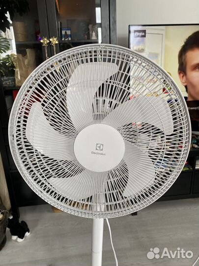 Вентилятор electrolux EFF-1005