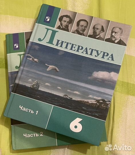 Литература 6 класс 2022 гол