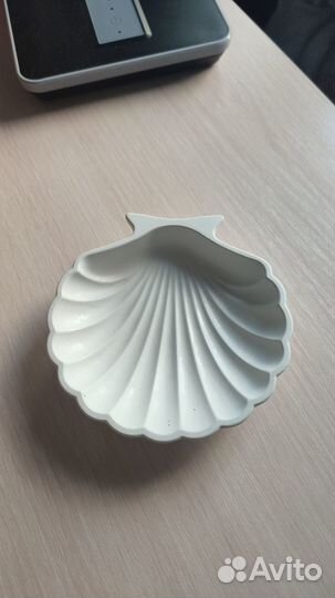 Ракушки гипсовые