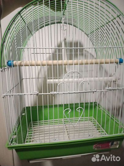 Клетка