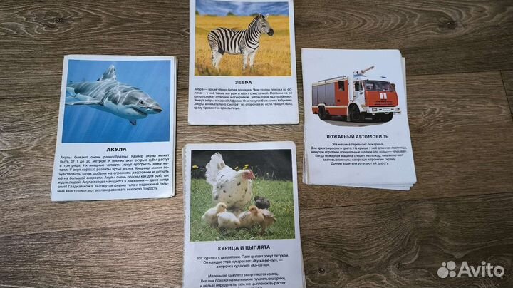 Развивающие карточки для детей