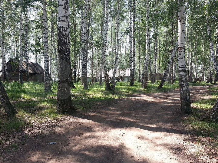 Участок 2,4 га (ИЖС)