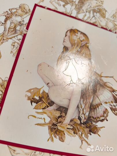 Книга Феи Брайан Фрауд, Алан Ли