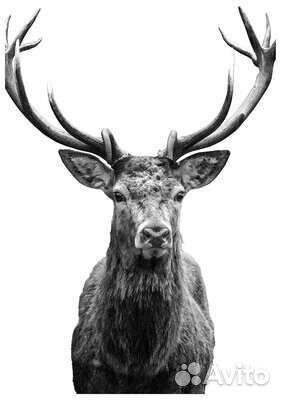 Картины Икеа 10