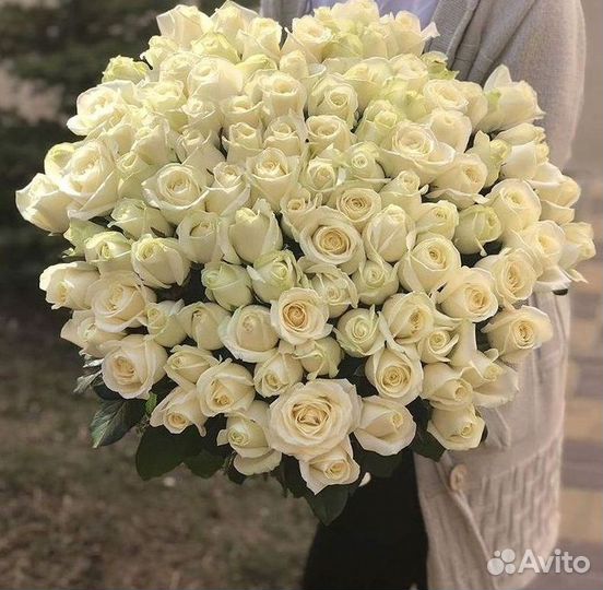 Высокие розы Гигантские розы Доставка цветов