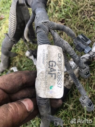 Проводка двигателя Форд Транзит