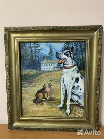 Картина «дог»
