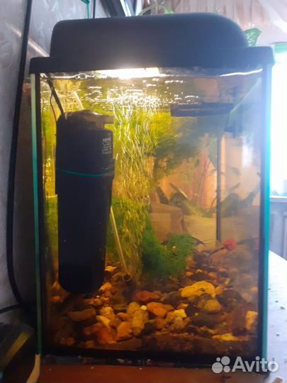 Аквариум с рыбками бу