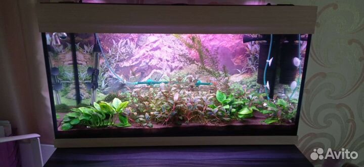 Аквариум