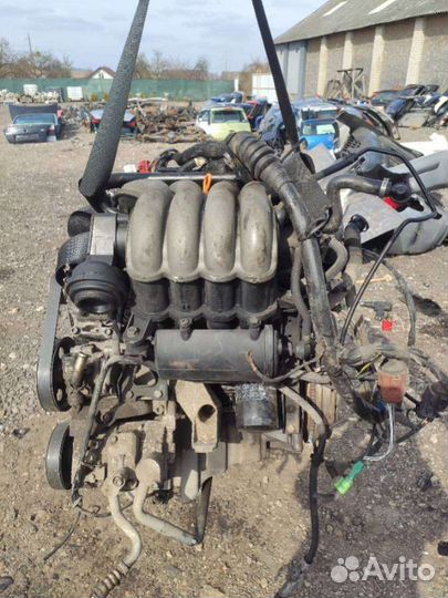 Двигатель alt Audi A4 B6 2002 2л Бензин