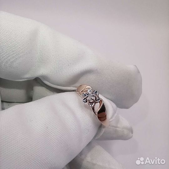 Золотое кольцо 