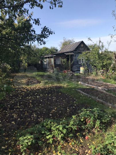 Участок 4 сот. (СНТ, ДНП)