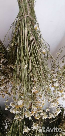 Лечебные травы