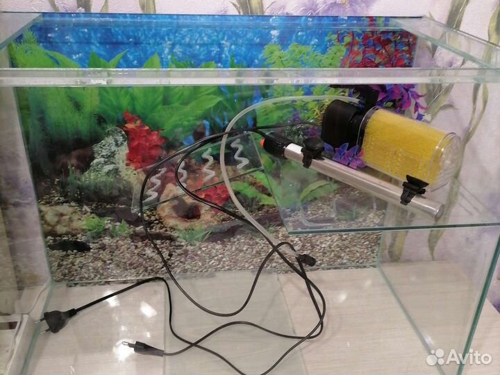 Аквариум