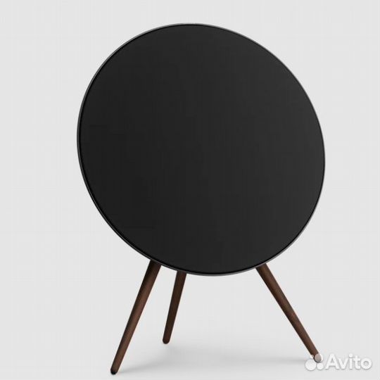 Bang & Olufsen Beosound A9 4G