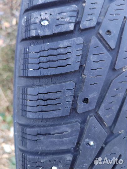 Покрышки зима
