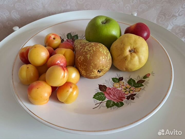 Блюдо большое фарфор Хайтинский завод СССР