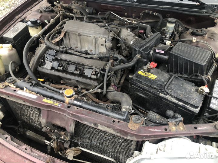 Капот Nissan Maxima A32