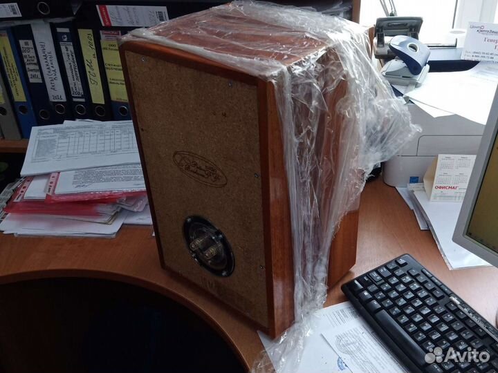 Акустика, 10 мас-1, 25ас-309, Zenith Allegro