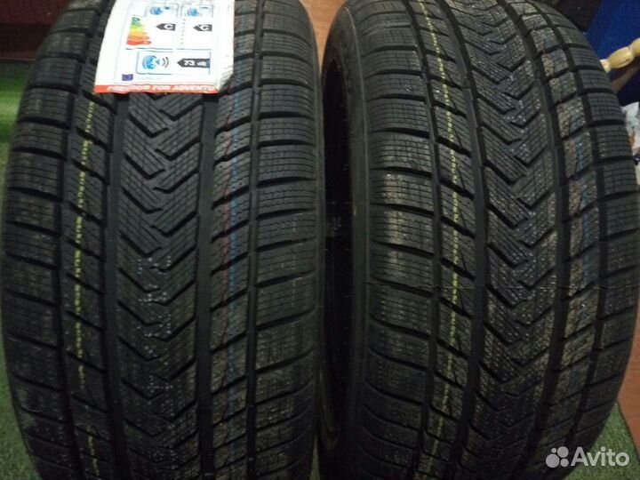 Gripmax Status Pro Winter 285/40 R21 109V