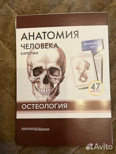 Карточки по анатомии Сапин