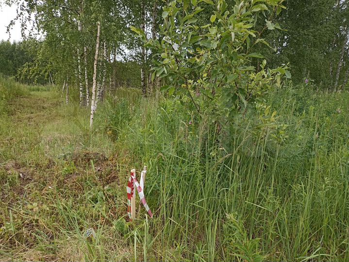 Участок 18,3 сот. (ИЖС)