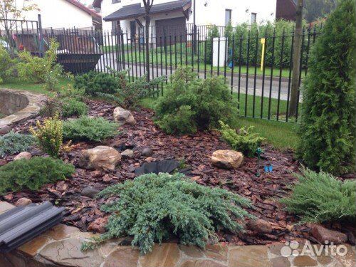 Кора сосны мульча