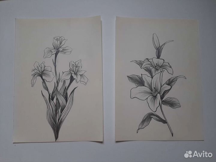 Картина графика