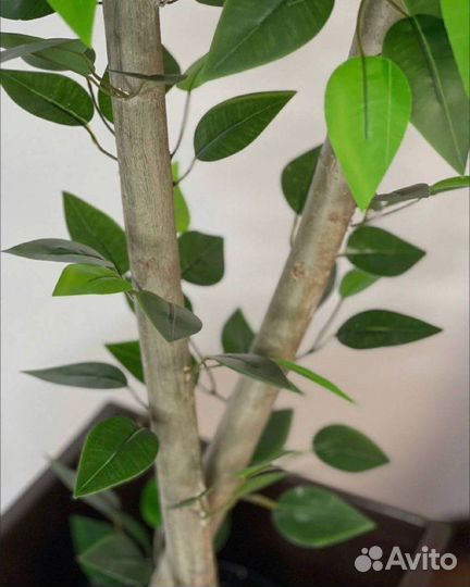 Дерево напольное искусственное