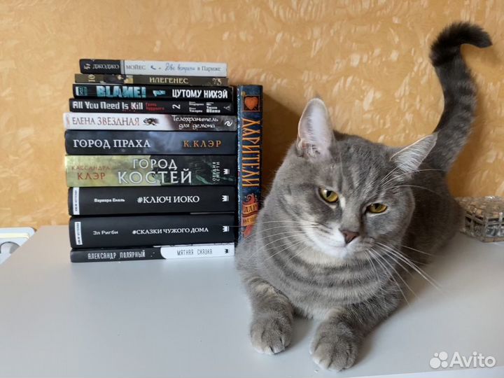 Книги от котика